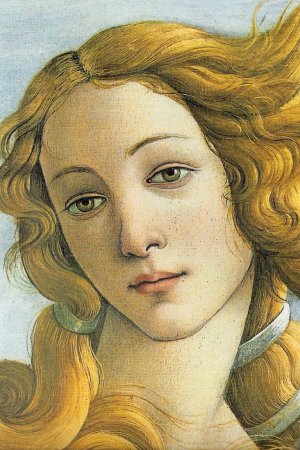 SIMONETTA VESPUCCI