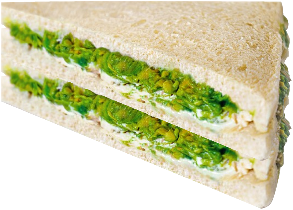 RH010405001Sandwich_Mixto_Ave_Palta