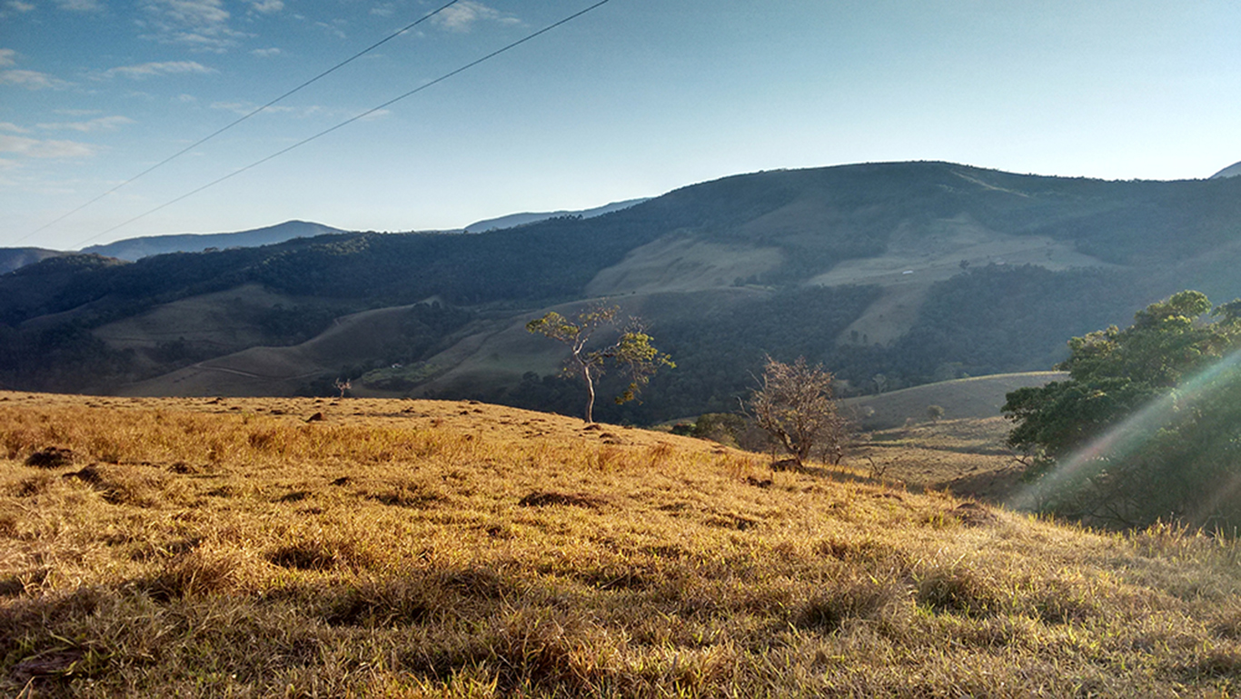 PAISAJE