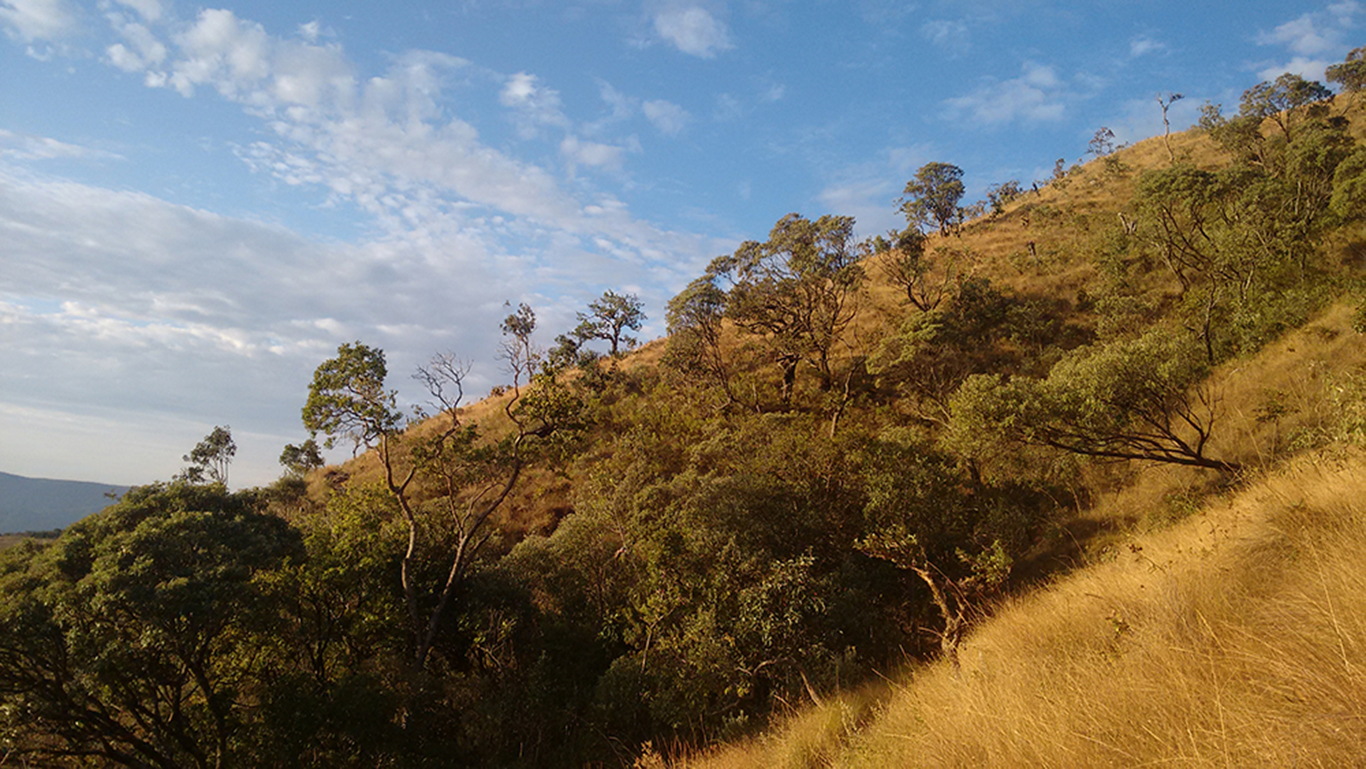 PAISAJE