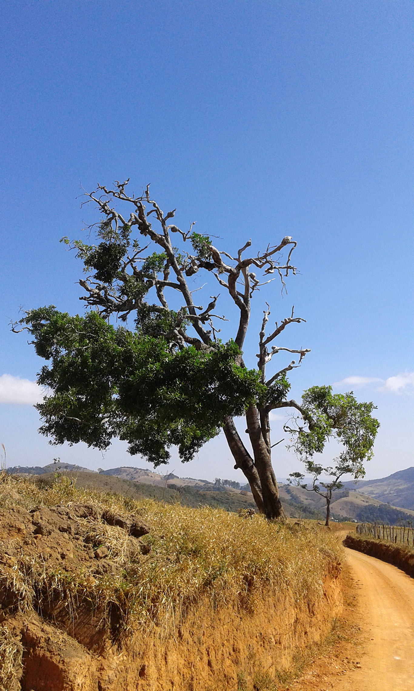 PAISAJE