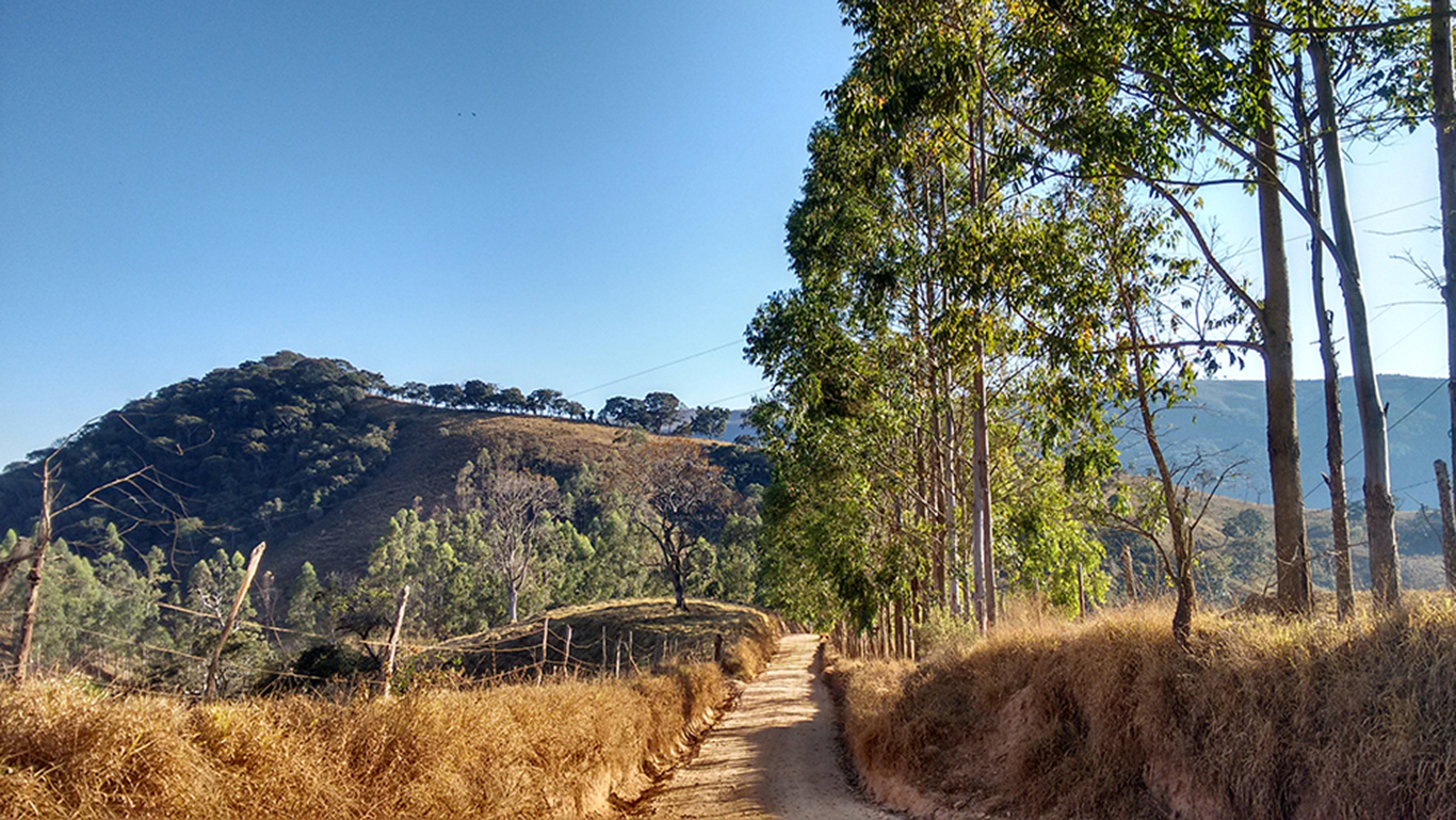 PAISAJE