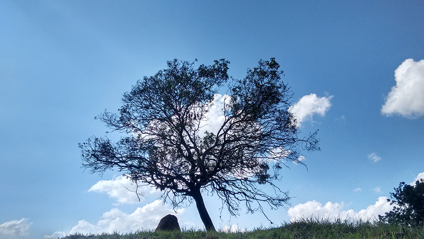 PAISAJE