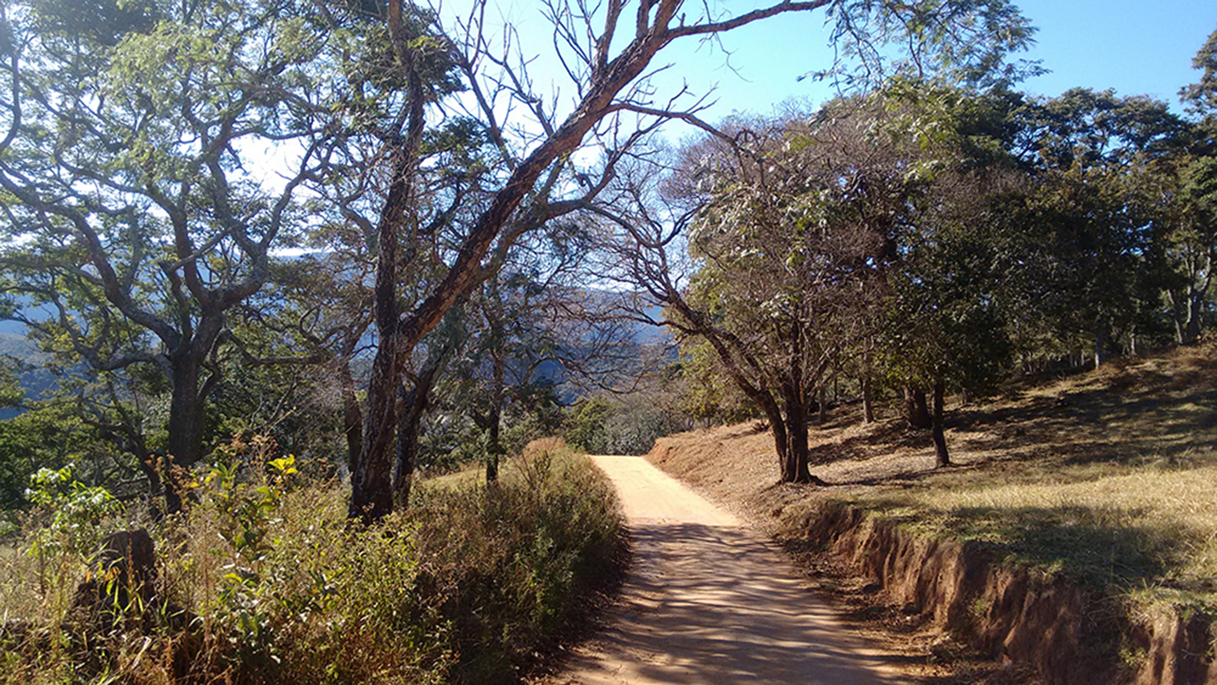 PAISAJE