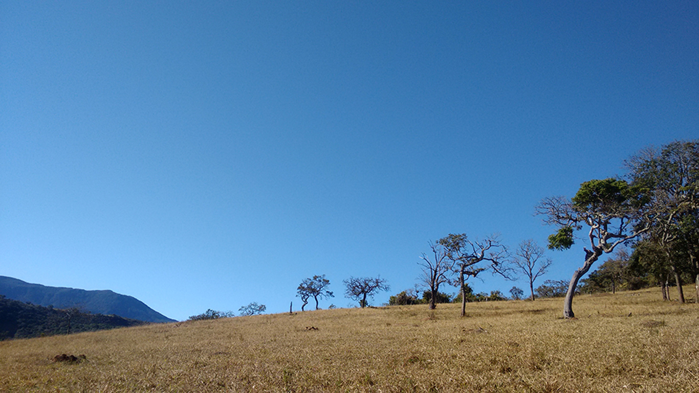 PAISAJE