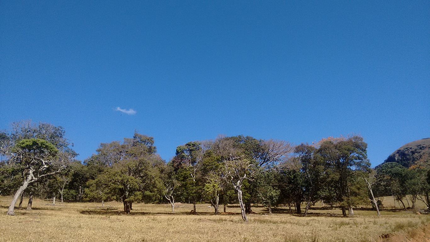 PAISAJE