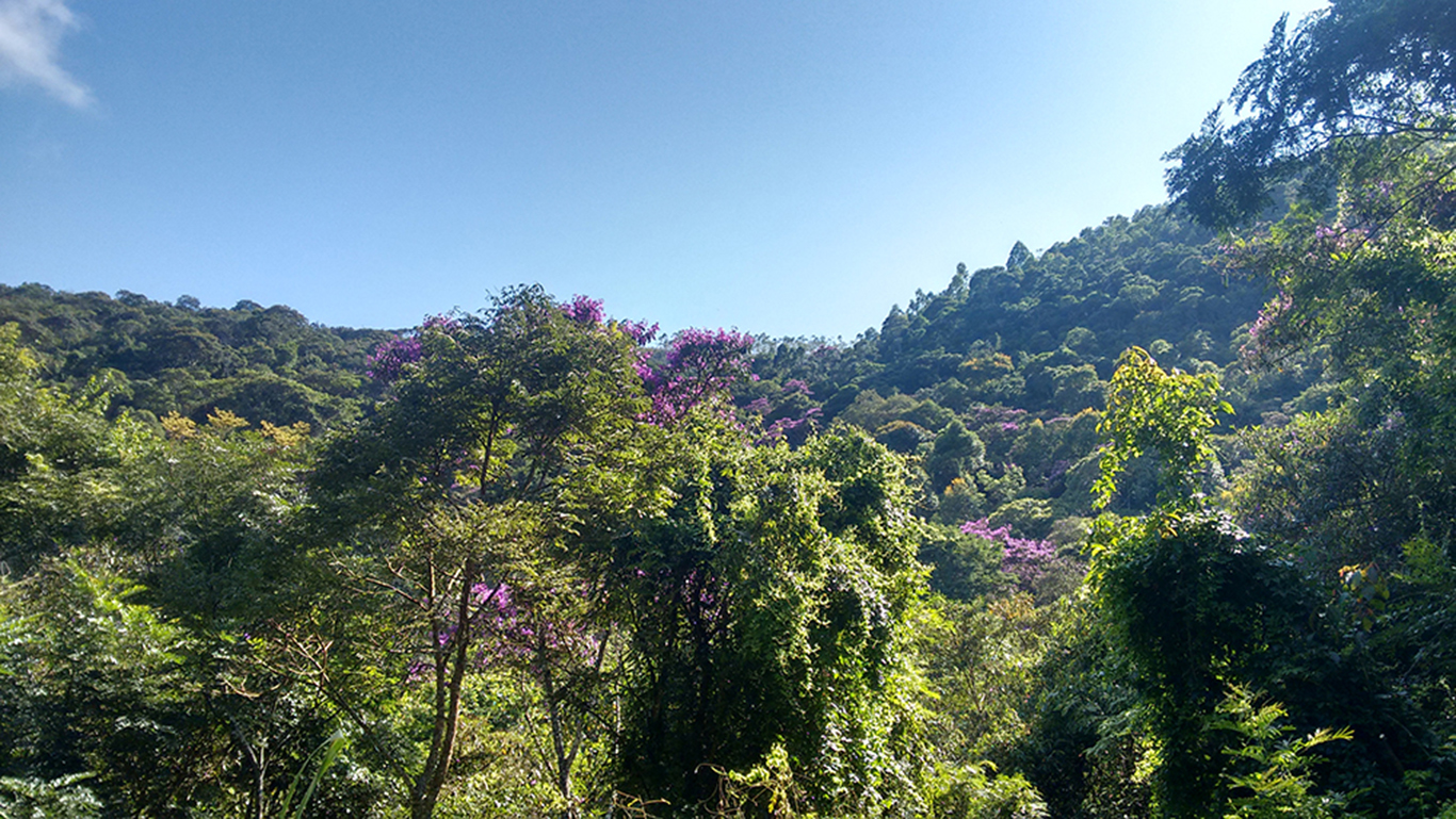 PAISAJE