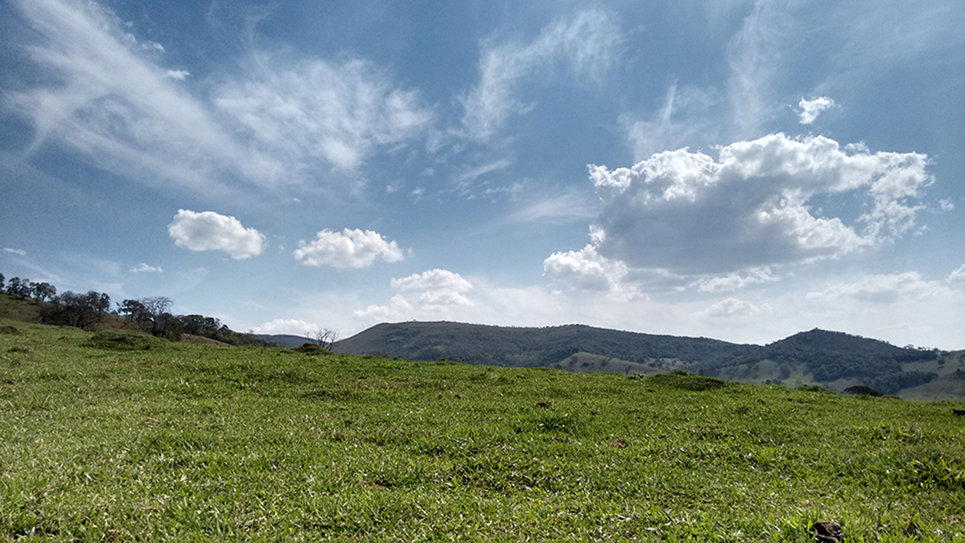 PAISAJE