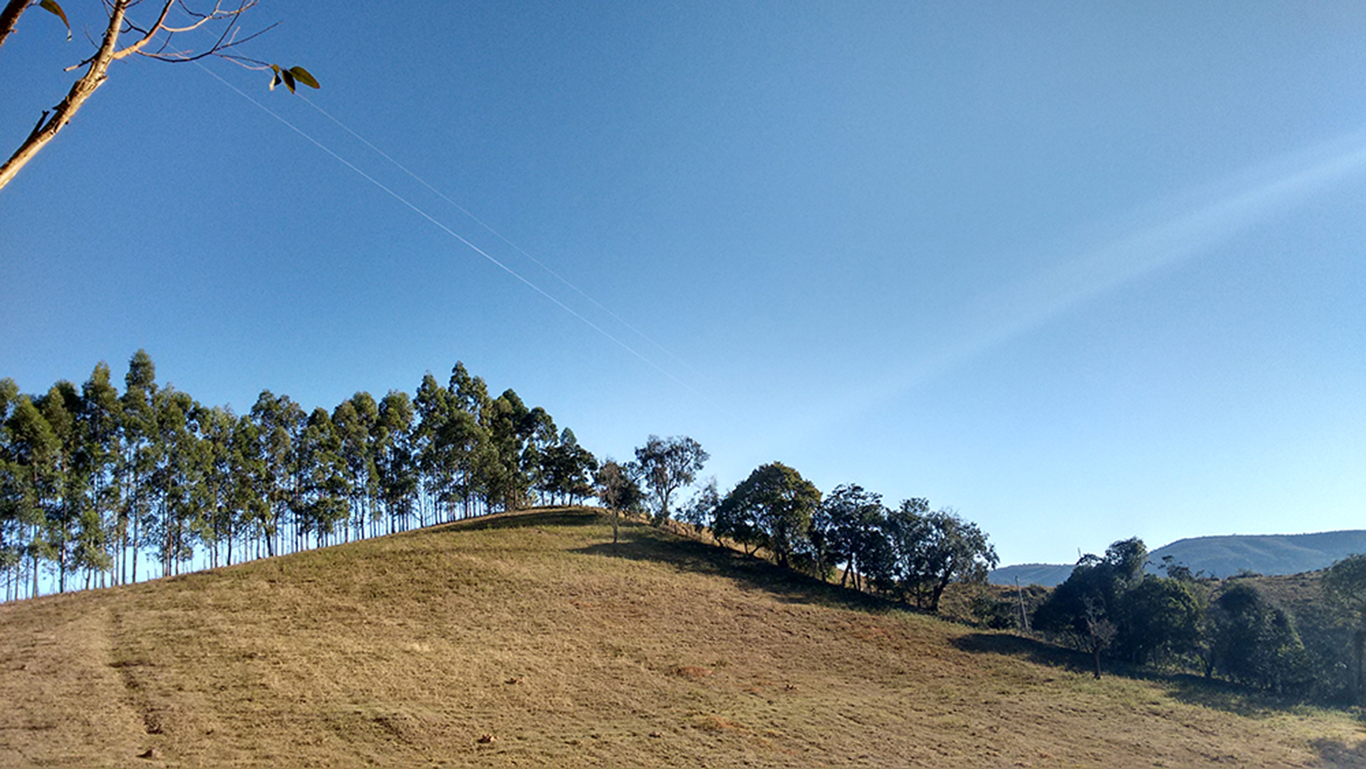 PAISAJE