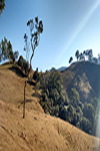 Fotografia