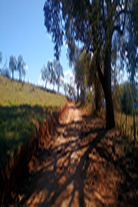 Fotografia