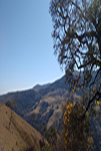 Fotografia