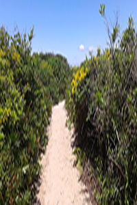 Fotografia