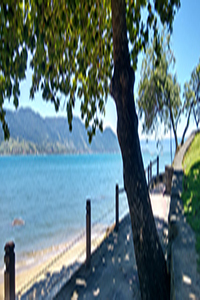 Fotografia