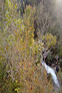 Fotografia