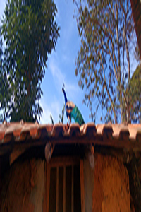 Fotografia