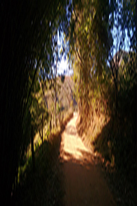 Fotografia