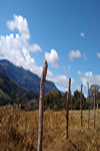 Fotografia