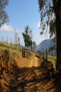 Fotografia