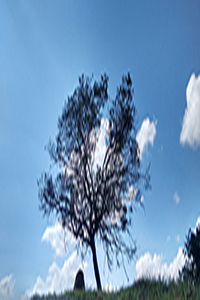 Fotografia