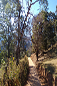 Fotografia