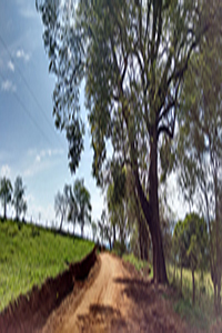 Fotografia