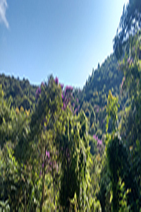 Fotografia