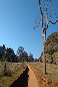 Fotografia