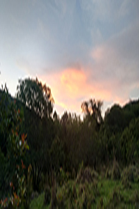 Fotografia
