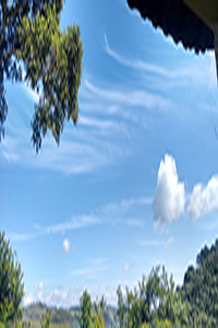 Fotografia