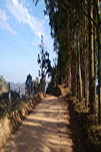 Fotografia