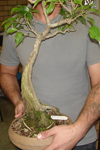 ArtesPlasticas